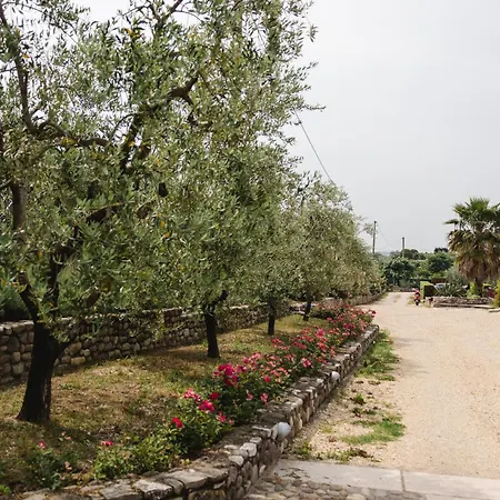 La Rondinella باردولينو