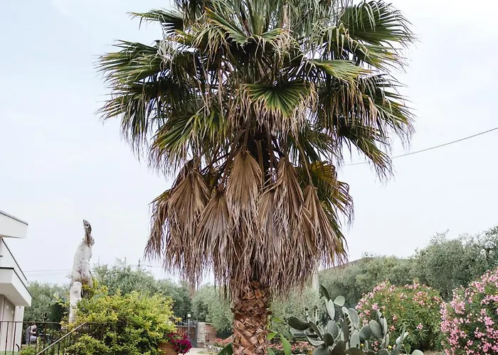 Дом отдыха La Rondinella